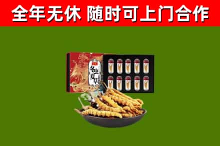 察隅回收冬虫夏草价格